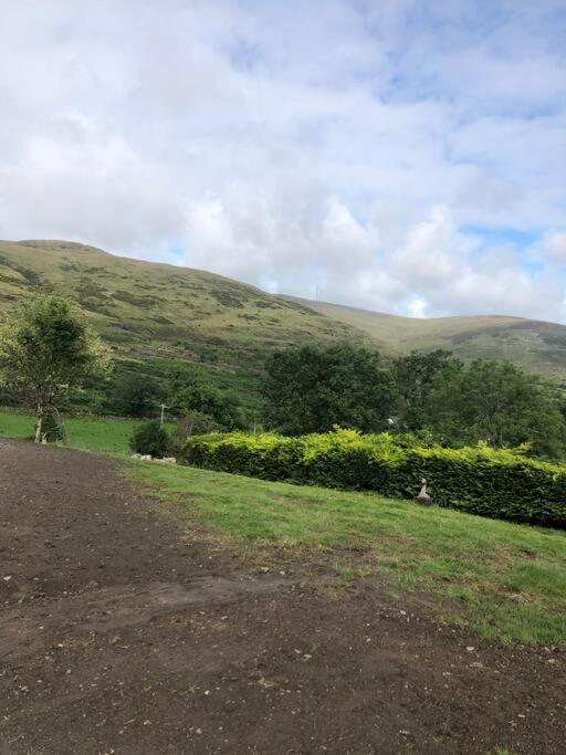 הוילה O Meith Mountain House Omeath Near Carlingford מראה חיצוני תמונה